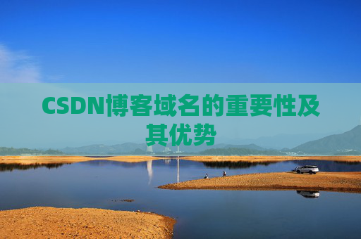 CSDN博客域名的重要性及其优势